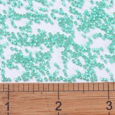 MIYUKI Delica Beads SEED-X0054-DB0627-1