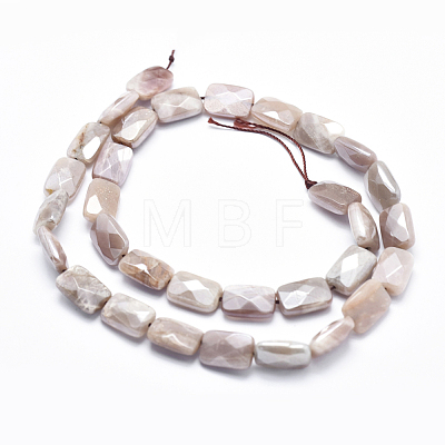Electroplate Natural Sunstone Beads Strands G-K256-19A-02-1