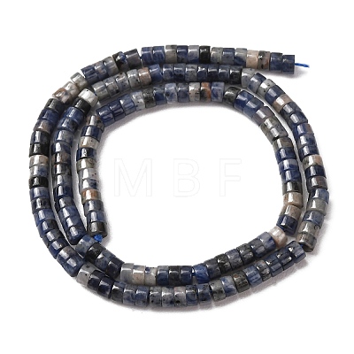 Natural Sodalite Beads Strands G-P468-19-1