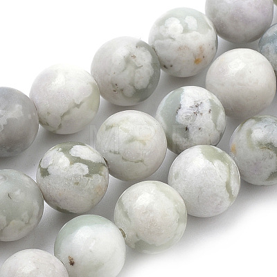 Natural Peace Jade Beads Strands G-S259-25-6mm-1