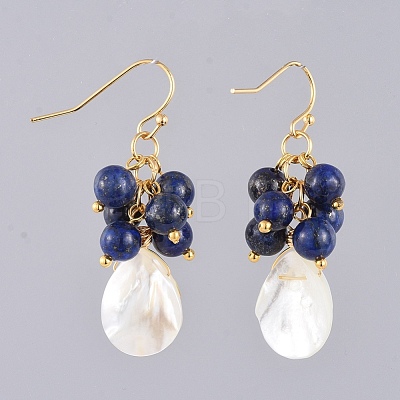 Natural Gemstone Dangle Earrings EJEW-JE03876-1