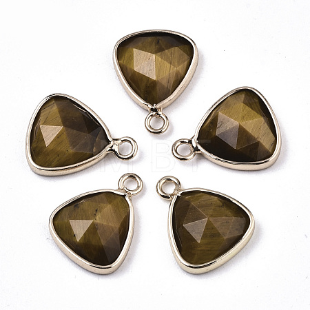 Natural Tiger Eye Charms G-N326-48B-1