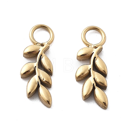304 Stainless Steel Charms STAS-M111-38G-1