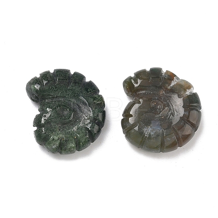 Natural Indian Agate Conch Display Decorations DJEW-D303-01H-1