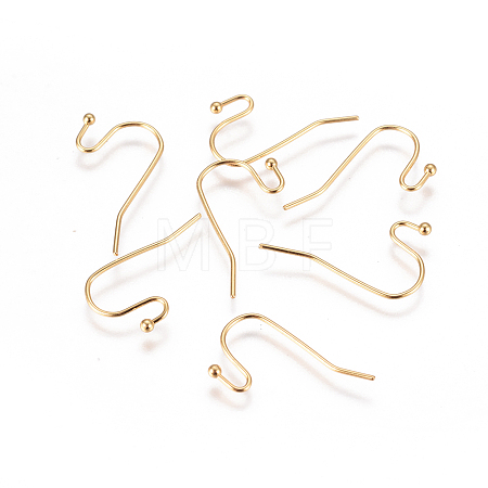 304 Stainless Steel Earring Hooks STAS-F227-27-G-1
