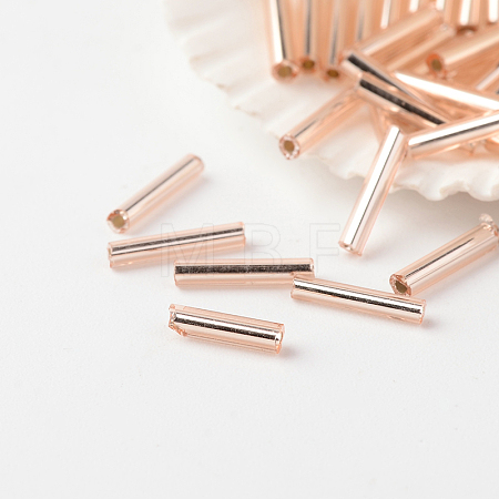 FGB Grade A Glass Bugle Beads SEED-A025-F4H-39-1