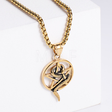 Vintage 304 Stainless Steel Snake Wrapped Pentagram Pendant Punk Necklaces ZI6457-2-1