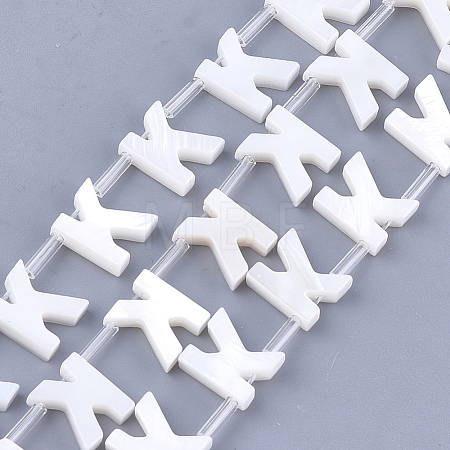 Freshwater Shell Beads X-SHEL-T012-59K-1
