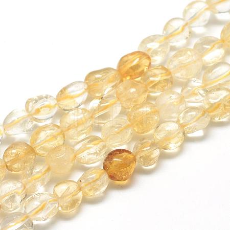 Natural Citrine Beads Strands G-R445-8x10-16-1
