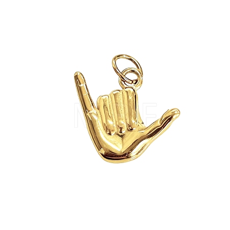 Stainless Steel Pendants STAS-H240-23-1