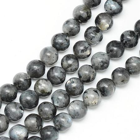 Natural Larvikite Beads Strands G-R345-12mm-33-1