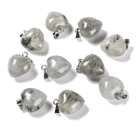 Natural Labradorite Pendants G-I311-A03-1