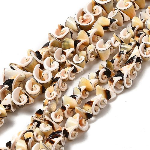 Natural Sea Shell Beads Strands BSHE-E026-14-1