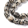 Natural Dalmatian Jasper Beads Strands G-G146-A24-01-4