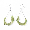 Dangle Earrings EJEW-E255-B17-1