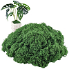 Polyester Artificial Moss DIY-CN0003-92B-1