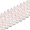 Natural Cultured Freshwater Pearl Beads Strands PEAR-N016-06C-1