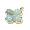 Natural Flower Amazonite Faceted Pendants G-A308-01G-10-2
