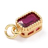 Real 18K Gold Plated Brass Inlaid Cubic Zirconia Charms ZIRC-L100-075G-04-4
