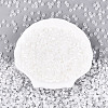 Glass Seed Beads X-SEED-N007-27G-2