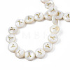 Natural Freshwater Shell Beads SHEL-S276-168Y-4