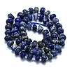 Natural Lapis Lazuli Beads Strands G-K245-H17-04-2