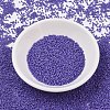 MIYUKI Delica Beads SEED-X0054-DB2359-2