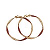 Alloy Enamel Hoop Earrings FS-WG76269-01-3
