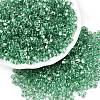 Baking Paint Transparent Glass Seed Beads SEED-N006-05J-1