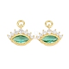 Brass Colorful Cubic Zirconia Pendants KK-E800-04G-1