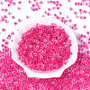 Transparent Inside Colours Glass Seed Beads SEED-T007-11D-1