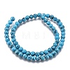 Synthetic Turquoise Beads Strands LS-Z0NDC013-1-2