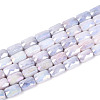 Anti-Tarnish Electroplate Glass Beads Strands GLAA-T025-29E-1