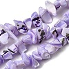 Natural Trochid Shell/Trochus Shell Beads Strands SHEL-B003-02F-1