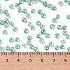 6/0 Glass Seed Beads SEED-A015-4mm-2218-4