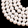 Electroplated Shell Pearl Beads Strands BSHE-C011-01C-3