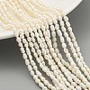 Natural Cultured Freshwater Pearl Beads Strands PEAR-XCP0001-05-2