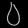 Natural Trochid Shell/Trochus Shell Beads Strands SH-CBA2978-12-3
