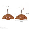 Food Theme Resin Dangle Earrings FS-WGC167F-12-1