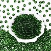 FGB Transparent Glass Seed Beads SEED-N013-01C-13-3