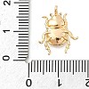 Brass Pendants KK-S514-01E-G-3
