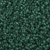 MIYUKI Round Rocailles Beads X-SEED-G007-RR0147F-3