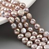 Natural Cultured Freshwater Pearl Beads Strands PEAR-A006-04F-2