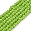 Opaque Solid Color Glass Beads Strands EGLA-T021-02F-1