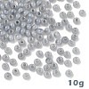 10G Glass Seed Beads SEED-YW0003-03E-1