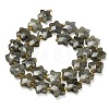 Natural Gray Labradorite Beads Strands G-L657-A02-01-3