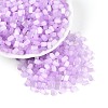 Drawbench Style Glass Seed Beads SEED-N008-10E-1