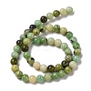 Natural Serpentine Bead Strands G-N166-4-1-3