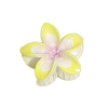 Resin Claw Hair Clips PW-WGCCCD9-06-1