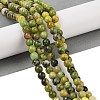 Natural Serpentine Beads Strands G-G829-06-6mm-2